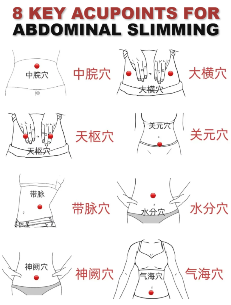 8 Key Acupoints for Abdominal Slimming using Cupping Therapy
